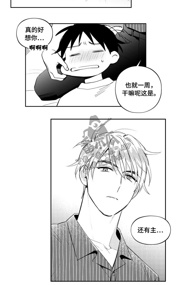 《甜蜜社团》漫画最新章节第177章：【番外】一起免费下拉式在线观看章节第【7】张图片