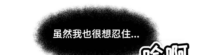 《心灵自习室》漫画最新章节第67章：找小猫免费下拉式在线观看章节第【5】张图片