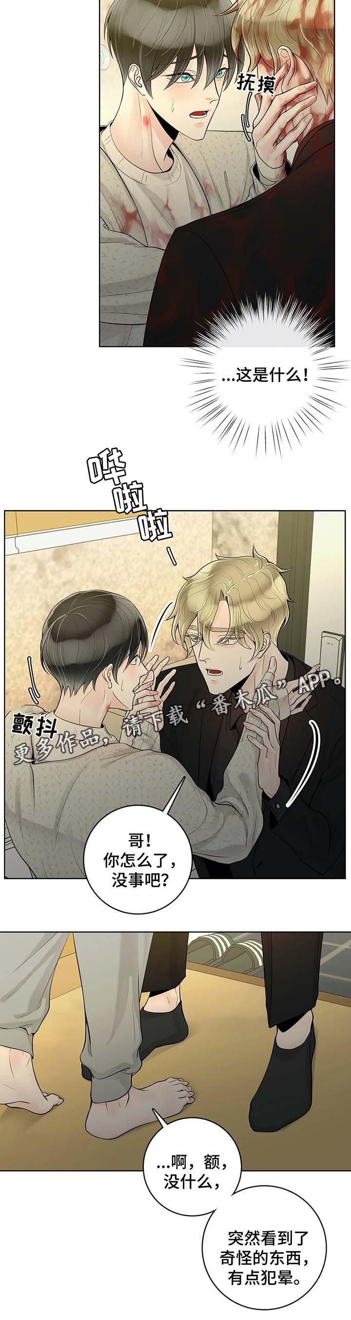 《合约期伙伴》漫画最新章节第47章：奇怪的东西免费下拉式在线观看章节第【10】张图片