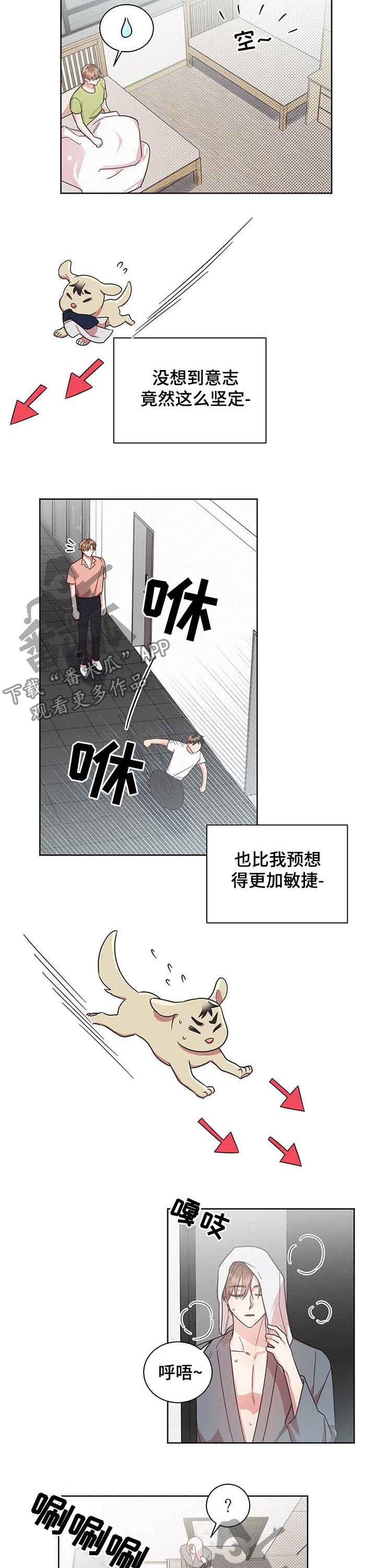 《好人先生》漫画最新章节第31章：追着他跑免费下拉式在线观看章节第【11】张图片