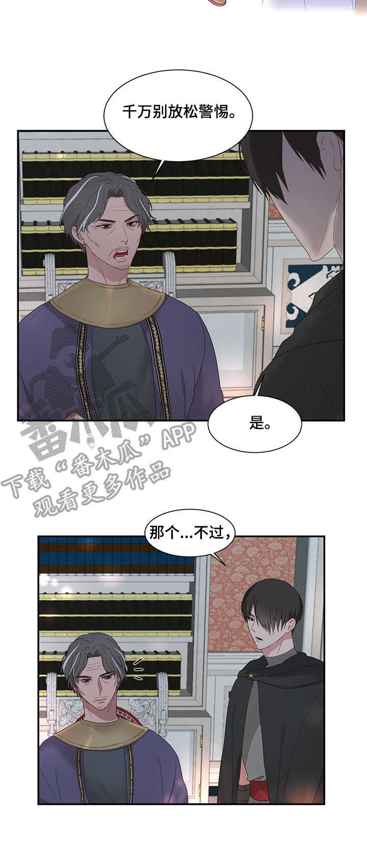 《陌生王妃》漫画最新章节第25章：计策免费下拉式在线观看章节第【10】张图片