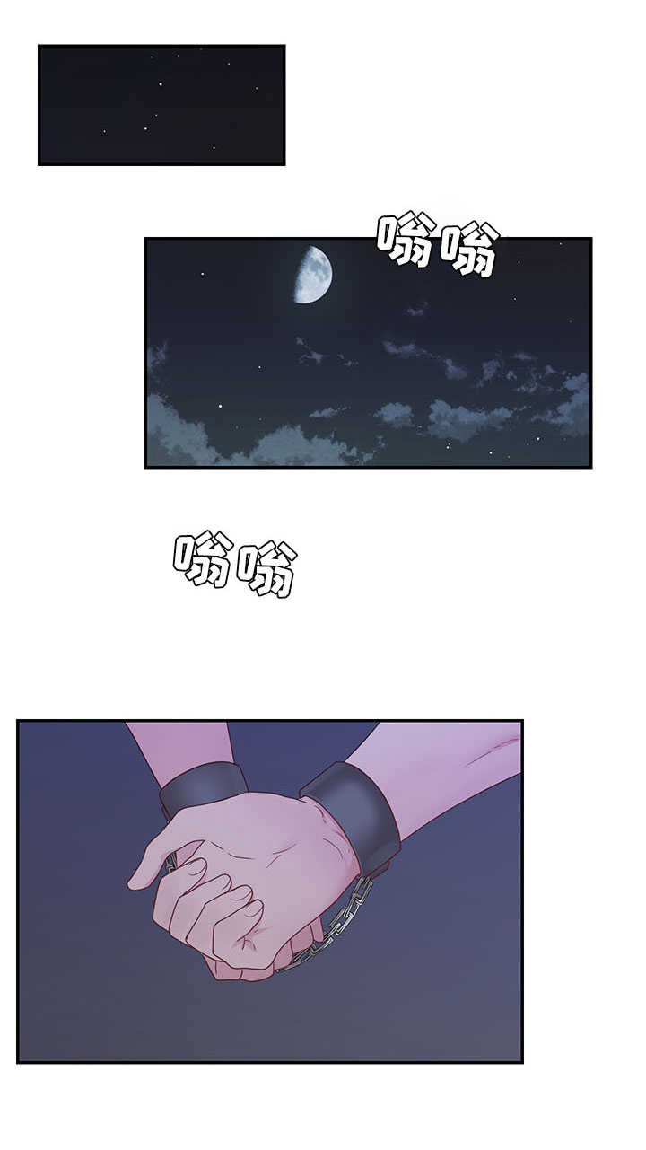 《陌生王妃》漫画最新章节第22章：责罚免费下拉式在线观看章节第【6】张图片