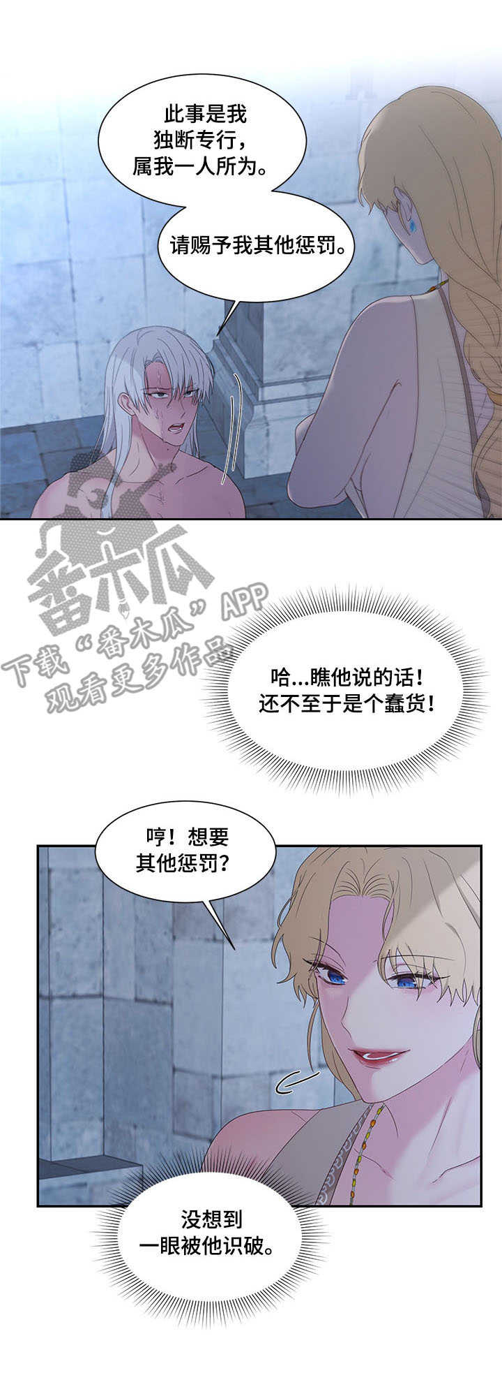 《陌生王妃》漫画最新章节第23章：鞭刑免费下拉式在线观看章节第【12】张图片