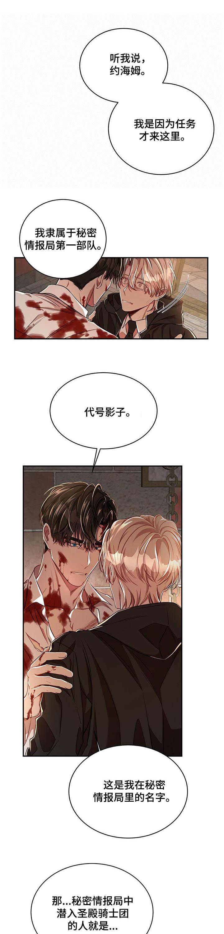 《纽约秘事》漫画最新章节第55章：【第二季】代号影子免费下拉式在线观看章节第【11】张图片