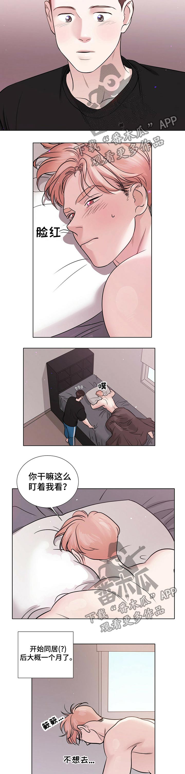 《越界恋情》漫画最新章节第71章：同居免费下拉式在线观看章节第【7】张图片