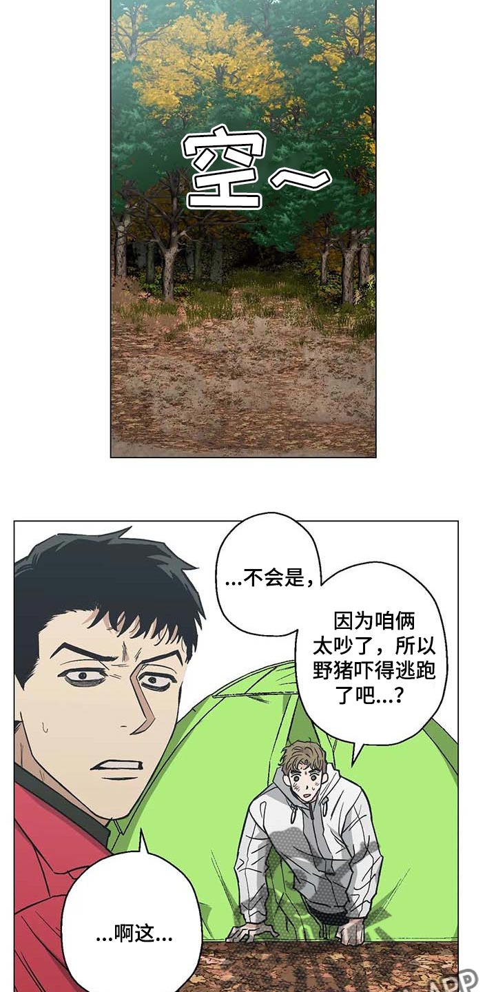 《暖心杀手》漫画最新章节第37章：又多了一只免费下拉式在线观看章节第【4】张图片