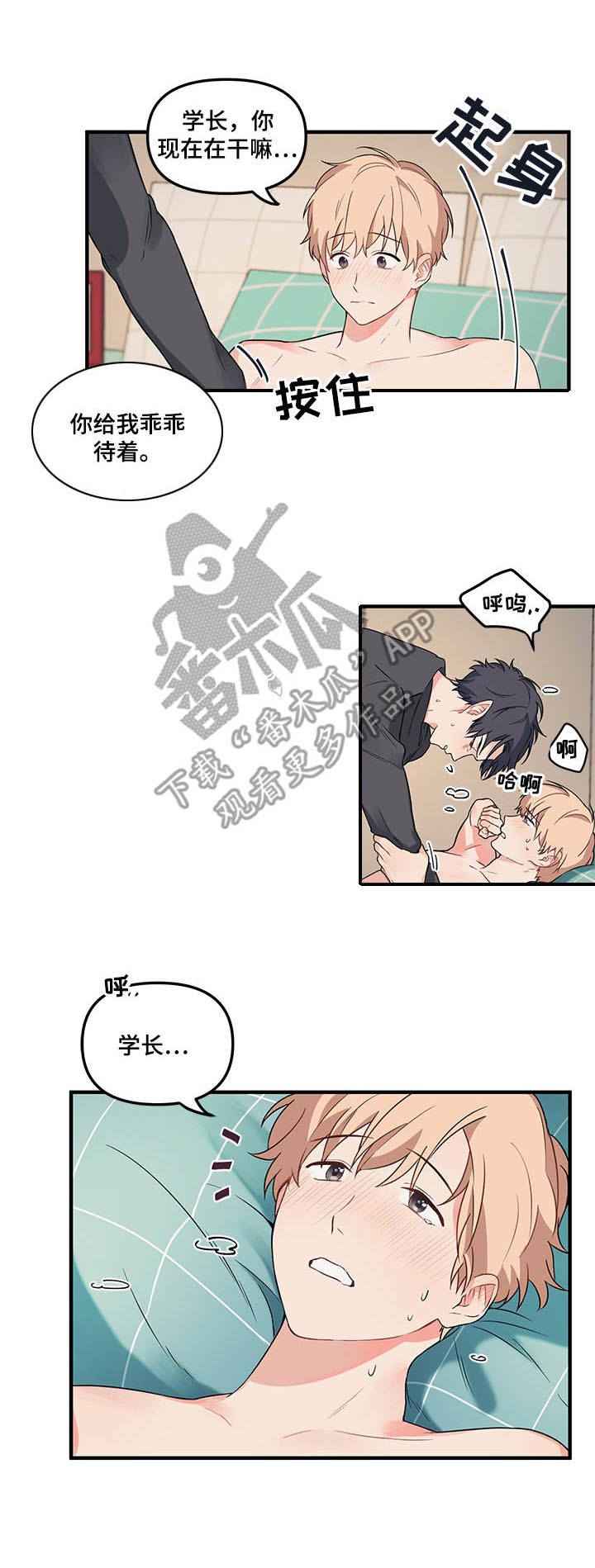 《爱的血痕》漫画最新章节第15章：走到底免费下拉式在线观看章节第【4】张图片