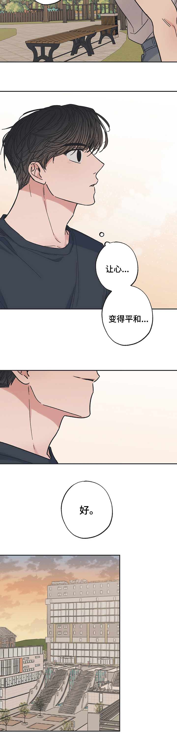 《我和星星的距离》漫画最新章节第36章：平和免费下拉式在线观看章节第【4】张图片