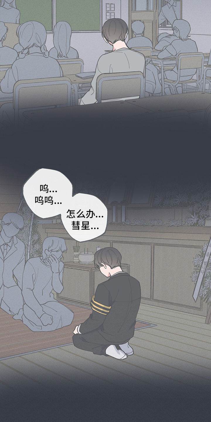 《我和星星的距离》漫画最新章节第76章：真的很累免费下拉式在线观看章节第【15】张图片