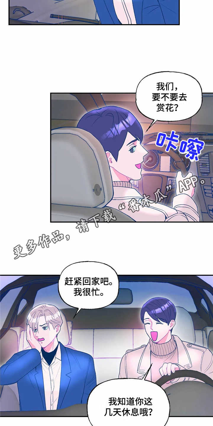 《高能研究所》漫画最新章节第16章：表白免费下拉式在线观看章节第【15】张图片