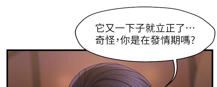 《霸道上司面试我》漫画最新章节第19话免费下拉式在线观看章节第【67】张图片