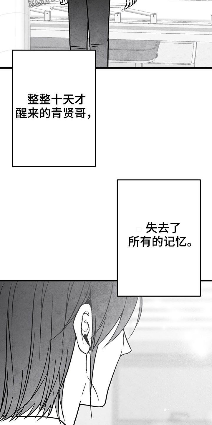 《治愈人生》漫画最新章节第101章：【第二季】失忆免费下拉式在线观看章节第【6】张图片