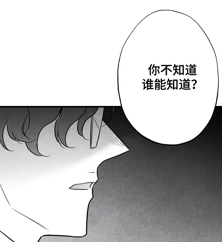 《治愈人生》漫画最新章节第78章：【第二季】踪影免费下拉式在线观看章节第【26】张图片