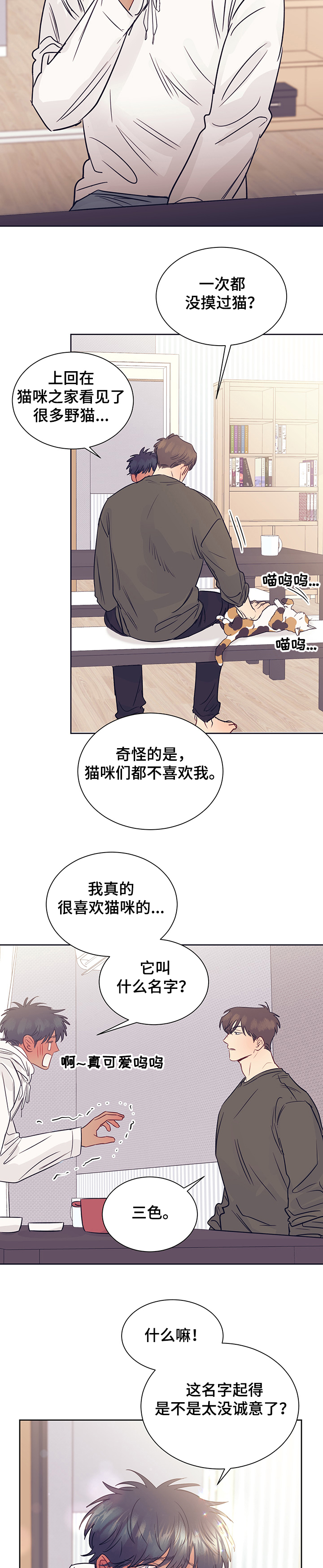 《直到遇见你》漫画最新章节第36章：被猫抓了免费下拉式在线观看章节第【9】张图片