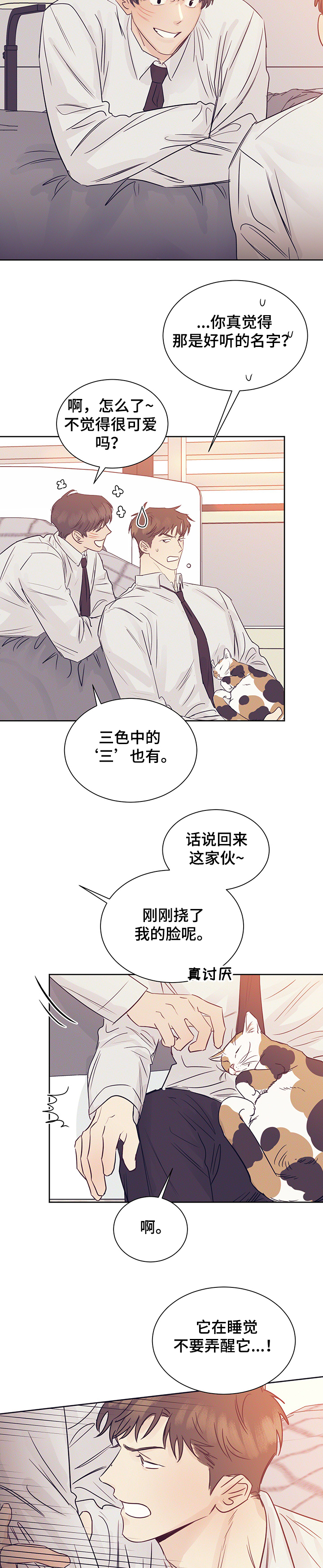 《直到遇见你》漫画最新章节第36章：被猫抓了免费下拉式在线观看章节第【7】张图片