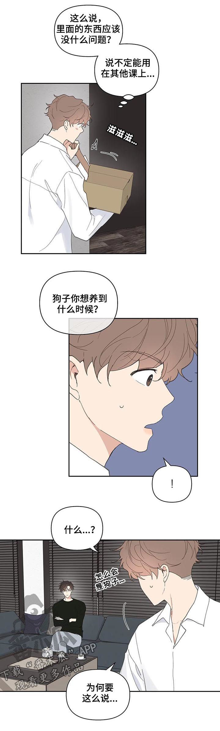 《学院代表》漫画最新章节第55章：会很好玩免费下拉式在线观看章节第【10】张图片