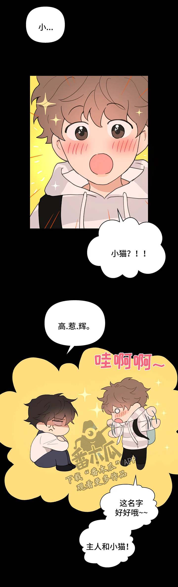 《学院代表》漫画最新章节第67章：喜欢漂亮的免费下拉式在线观看章节第【11】张图片