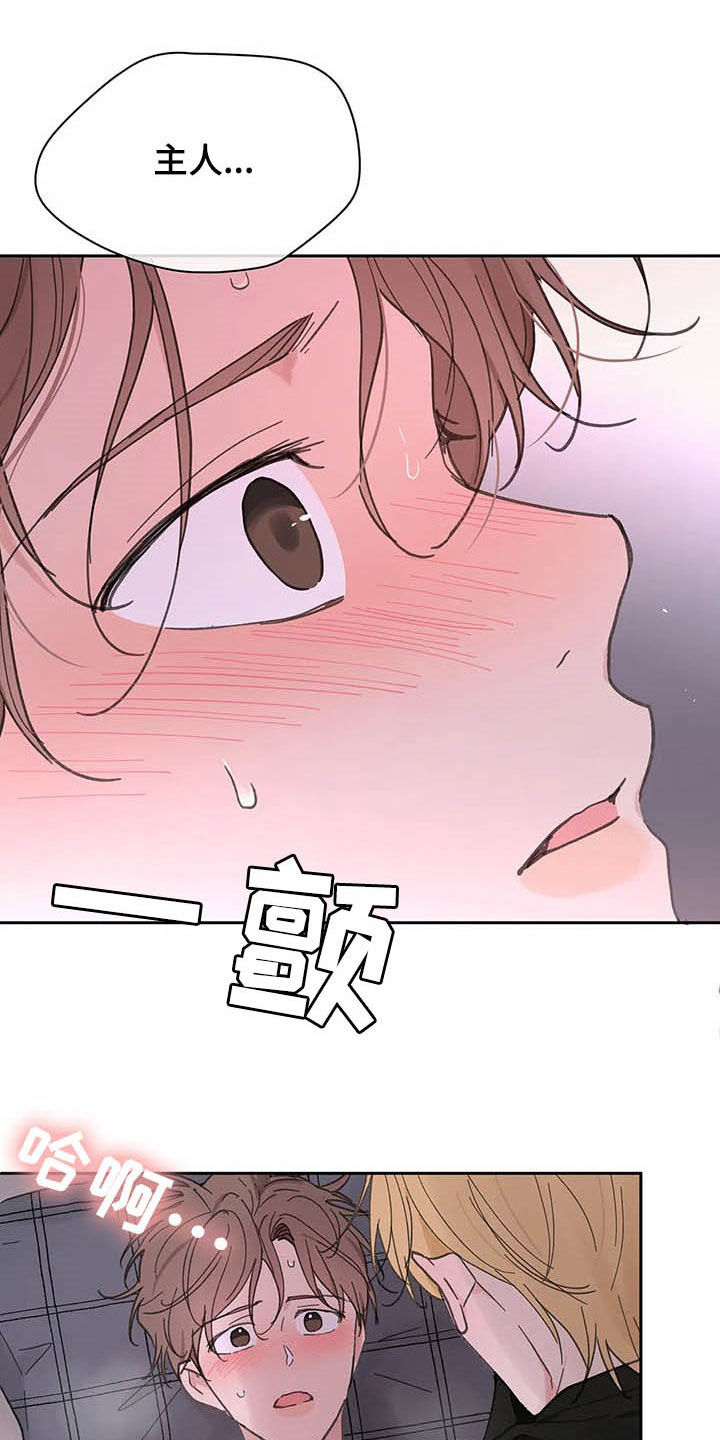 《学院代表》漫画最新章节第123章：【番外】可以吧免费下拉式在线观看章节第【4】张图片