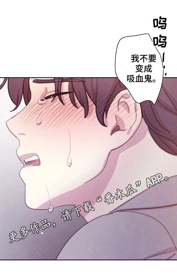 《与血族共生》漫画最新章节第51章：更加的绝望（第一季完结）免费下拉式在线观看章节第【21】张图片