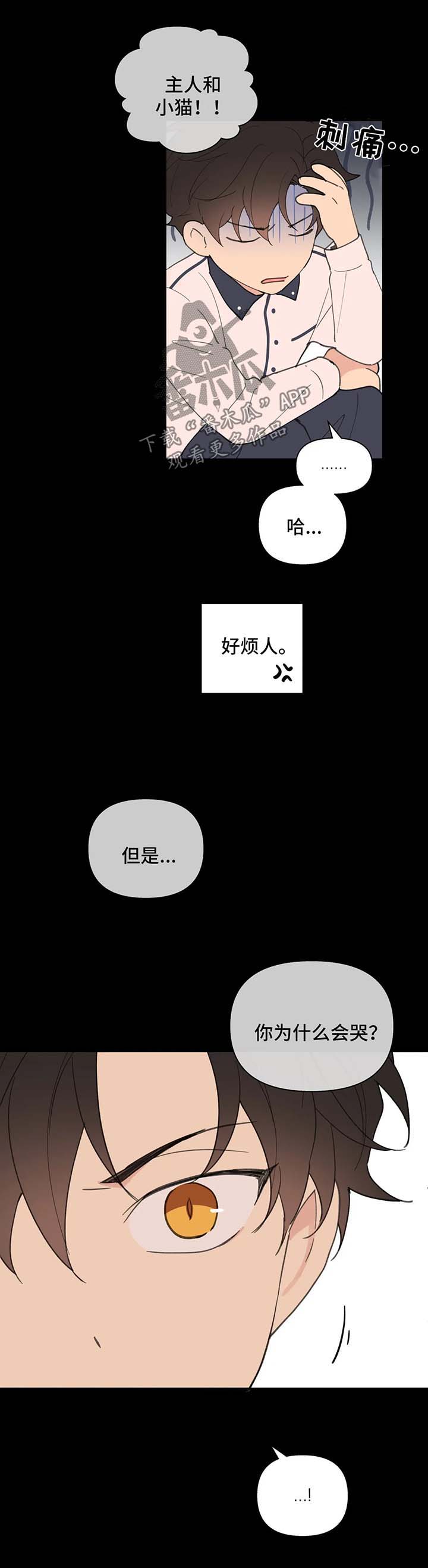 《学院代表》漫画最新章节第67章：喜欢漂亮的免费下拉式在线观看章节第【10】张图片