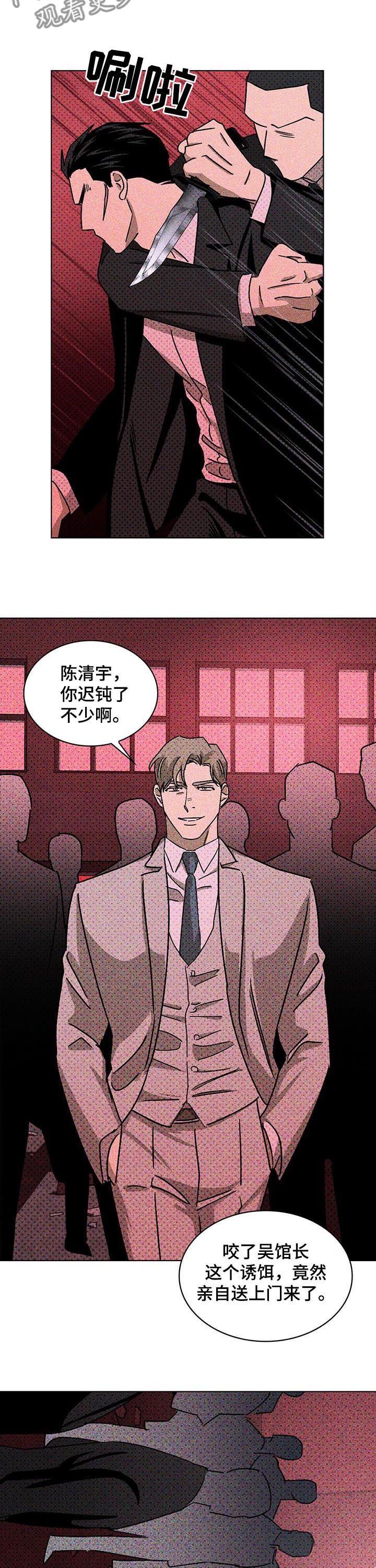 《绿色纹理》漫画最新章节第23章：诱饵免费下拉式在线观看章节第【2】张图片