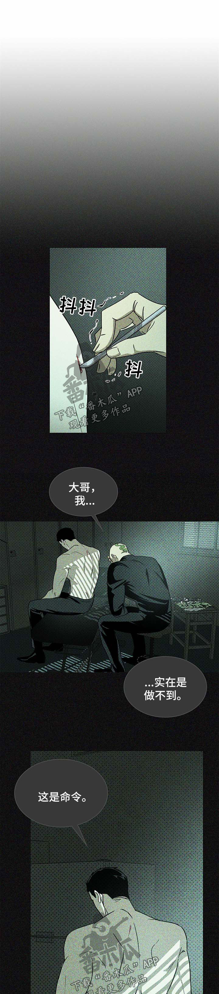 《绿色纹理》漫画最新章节第17章：别来无恙免费下拉式在线观看章节第【21】张图片