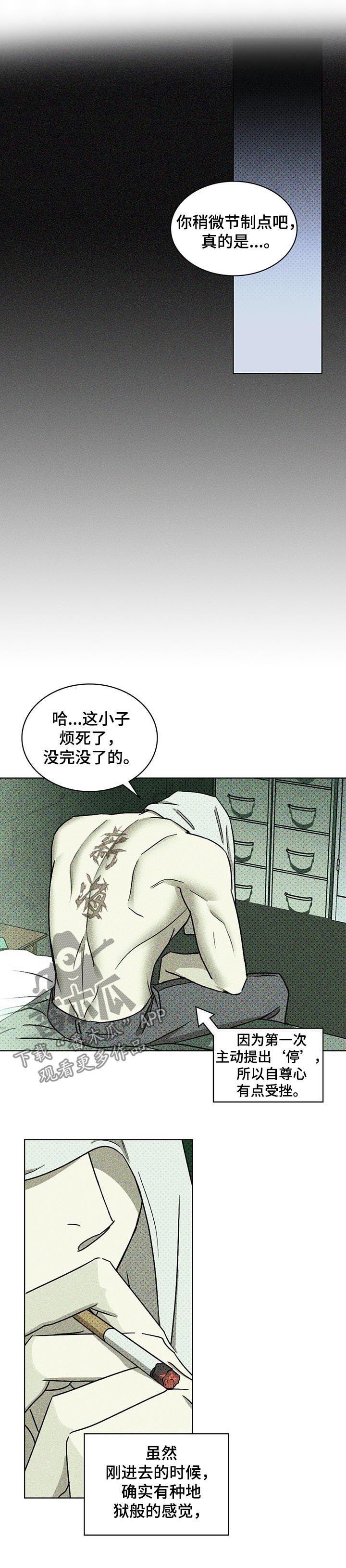 《绿色纹理》漫画最新章节第29章：代价免费下拉式在线观看章节第【18】张图片