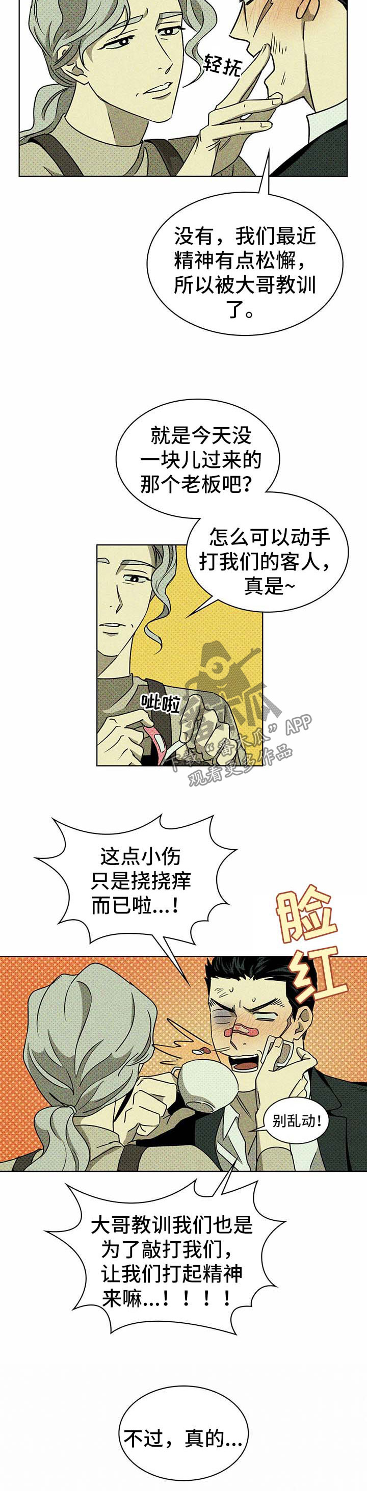 《绿色纹理》漫画最新章节第16章：解释免费下拉式在线观看章节第【19】张图片