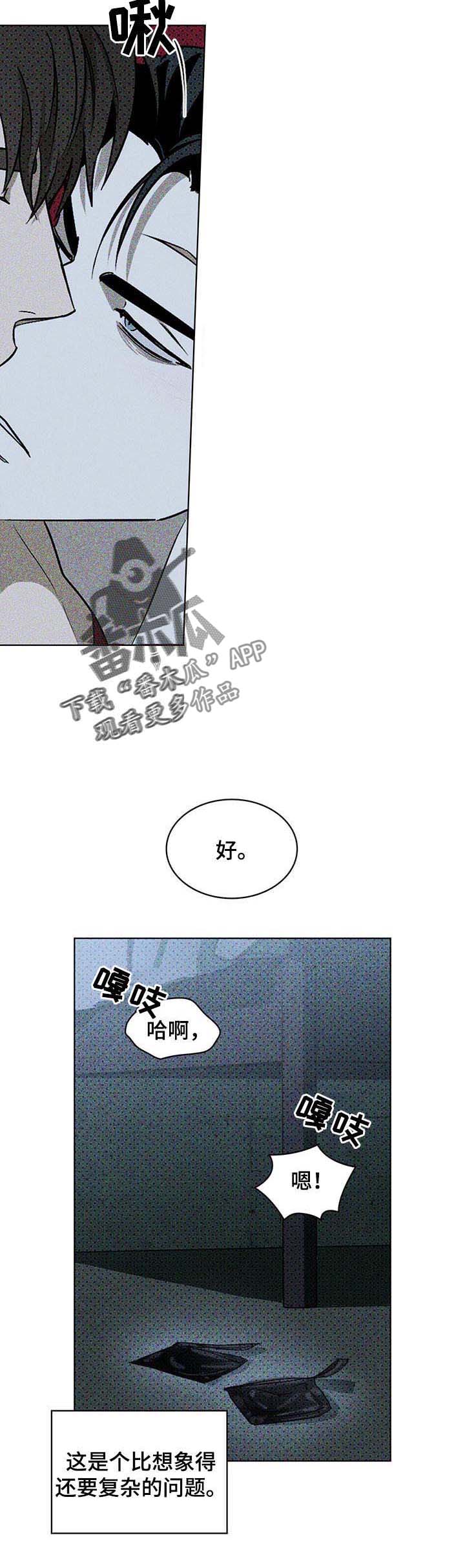 《绿色纹理》漫画最新章节第27章： 截然不同免费下拉式在线观看章节第【7】张图片