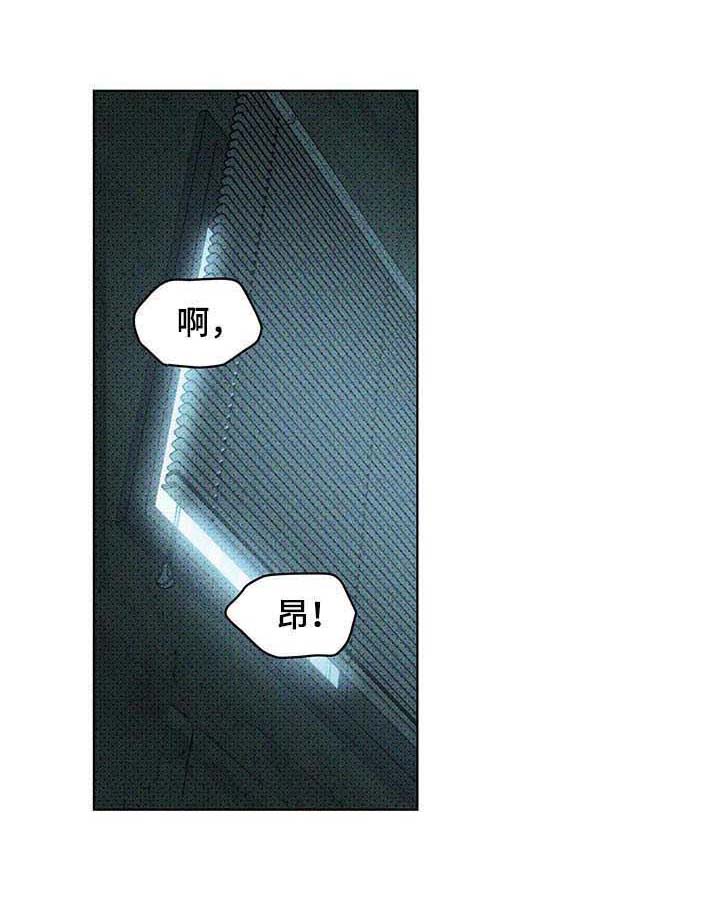 《绿色纹理》漫画最新章节第27章： 截然不同免费下拉式在线观看章节第【14】张图片