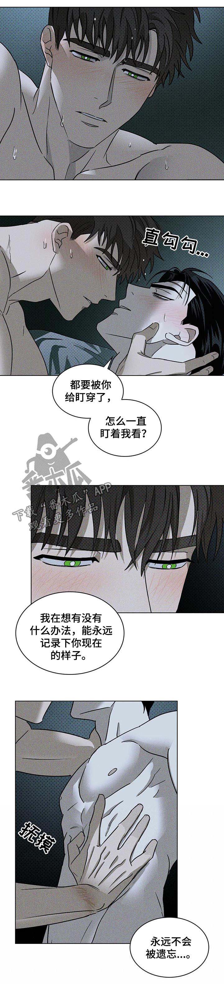 《绿色纹理》漫画最新章节第27章： 截然不同免费下拉式在线观看章节第【11】张图片