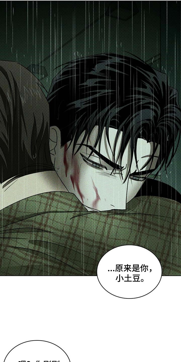 《绿色纹理》漫画最新章节第69章：绝对不会再放手【第一季完结】免费下拉式在线观看章节第【26】张图片