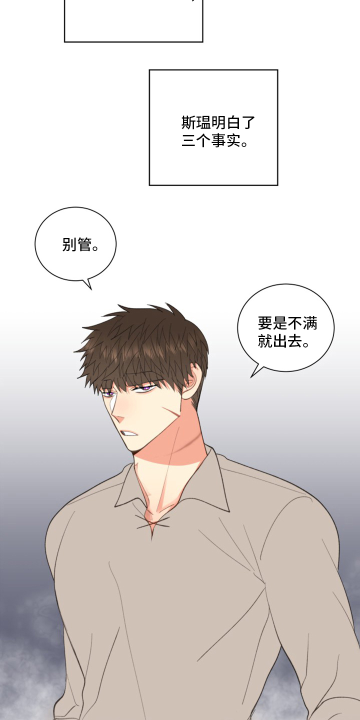 《书中世界》漫画最新章节第40章：【番外】微妙的缘分免费下拉式在线观看章节第【15】张图片