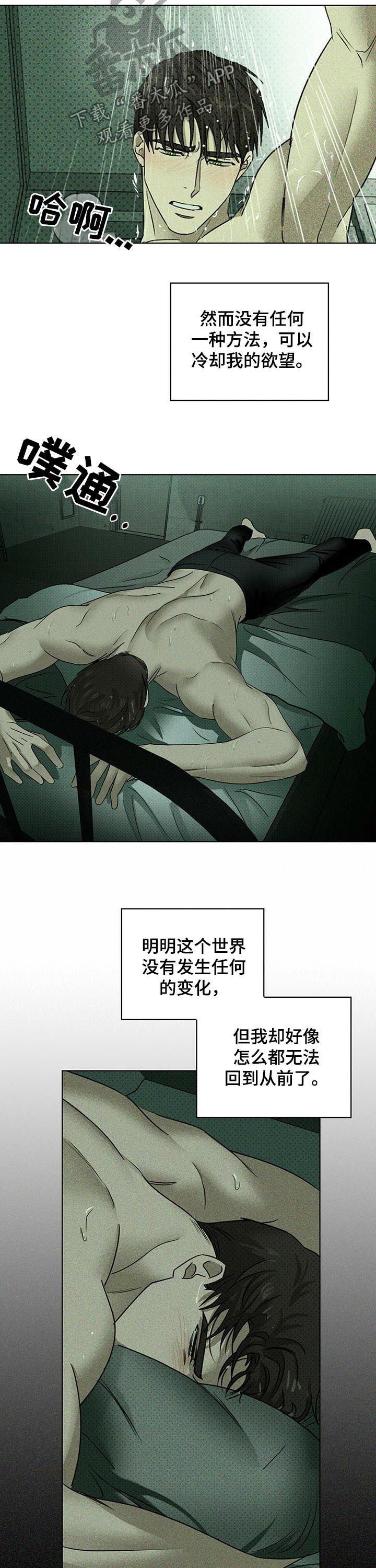 《绿色纹理》漫画最新章节第41章：辗转难眠免费下拉式在线观看章节第【3】张图片