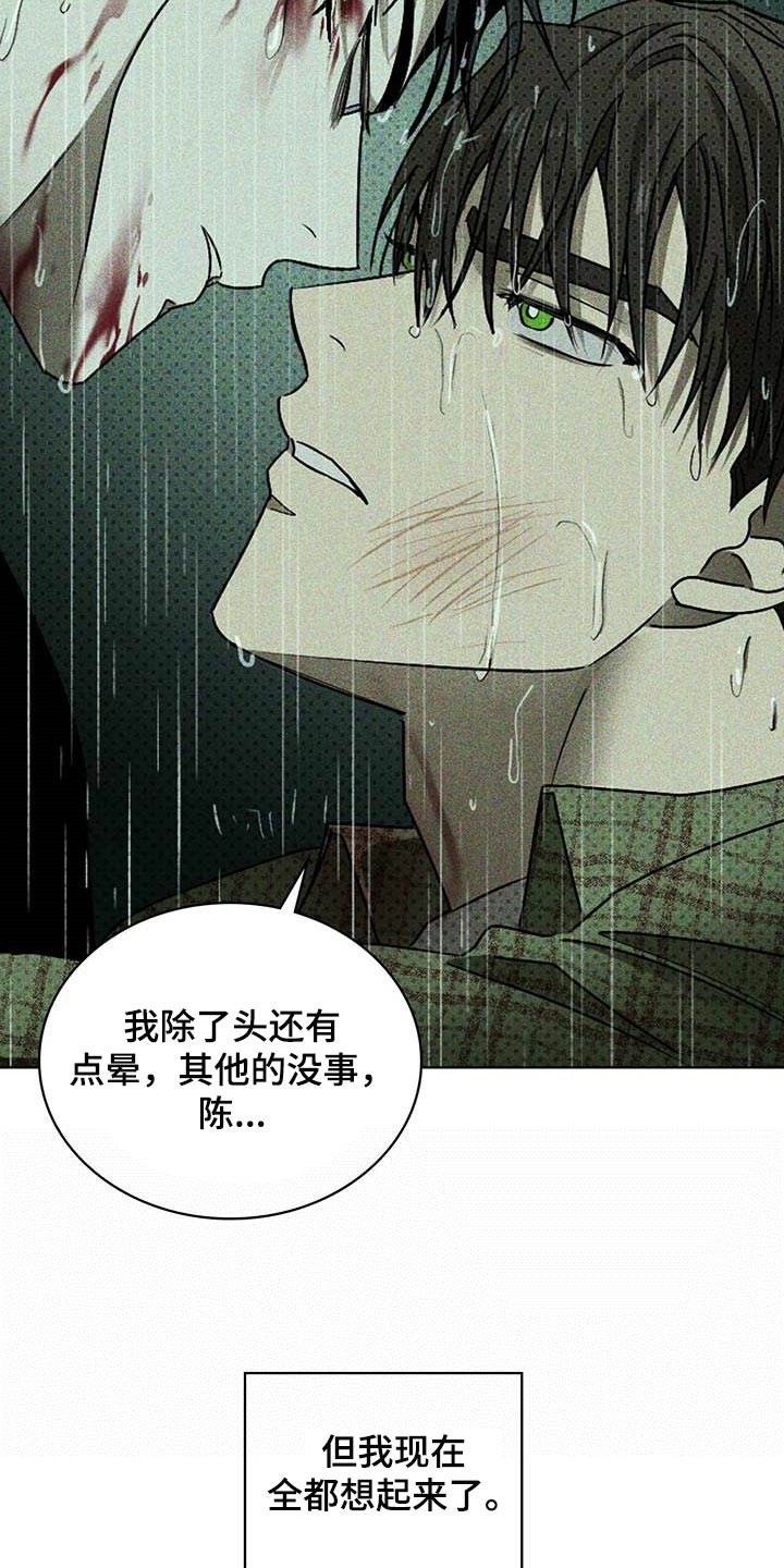 《绿色纹理》漫画最新章节第69章：绝对不会再放手【第一季完结】免费下拉式在线观看章节第【30】张图片