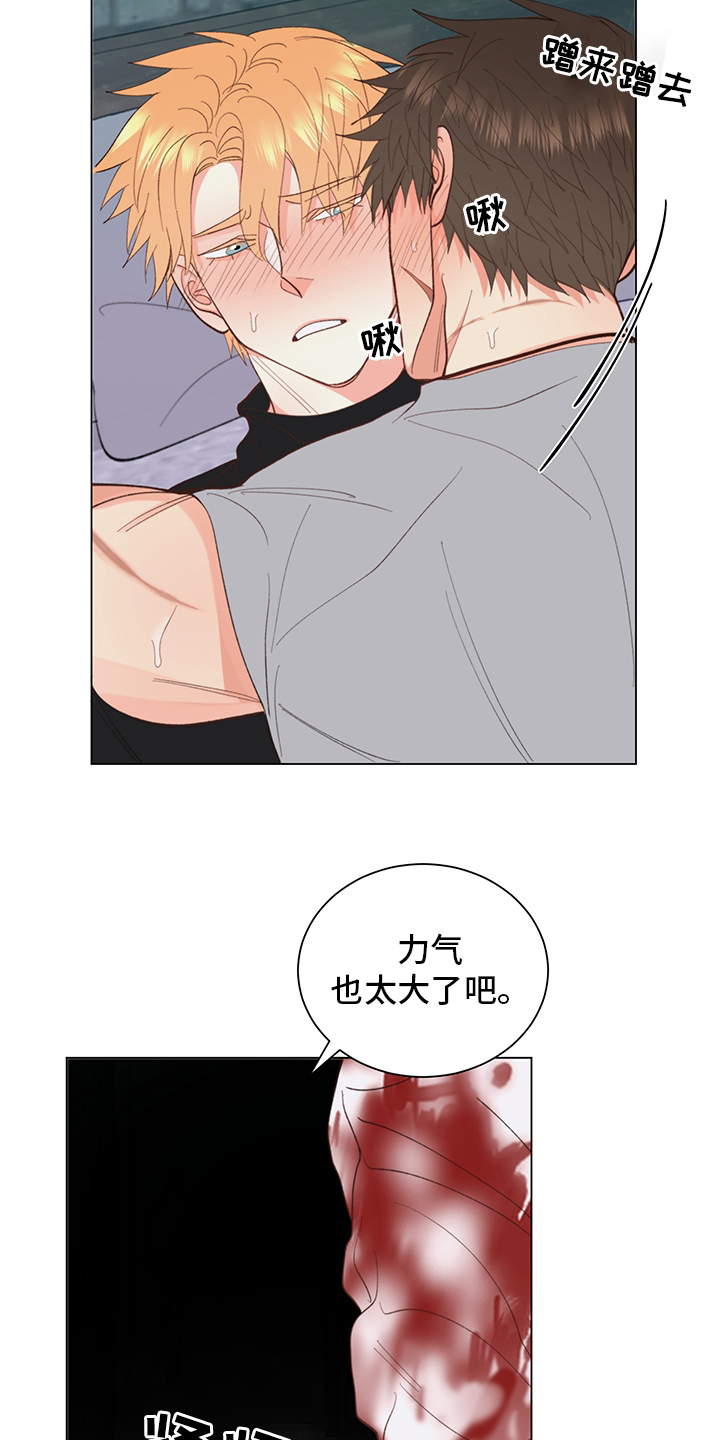 《书中世界》漫画最新章节第36章：【番外】行吧免费下拉式在线观看章节第【5】张图片