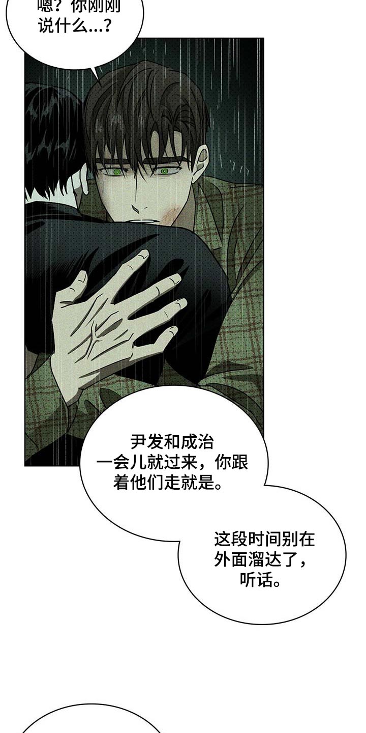 《绿色纹理》漫画最新章节第69章：绝对不会再放手【第一季完结】免费下拉式在线观看章节第【24】张图片