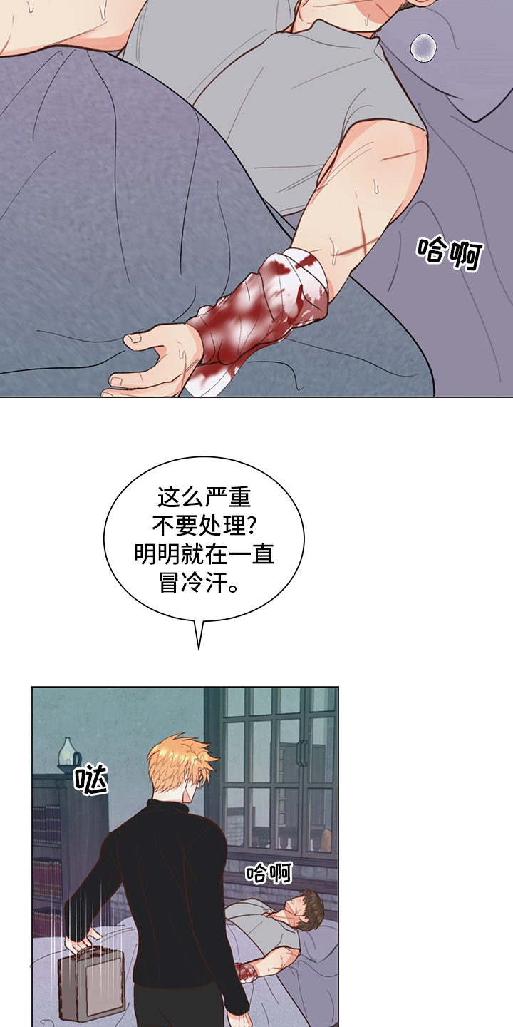 《书中世界》漫画最新章节第36章：【番外】行吧免费下拉式在线观看章节第【13】张图片