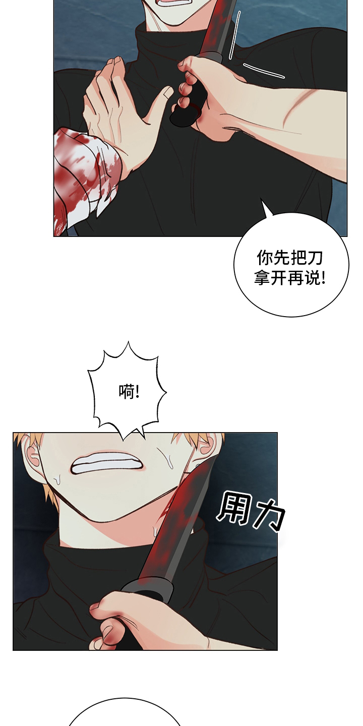 《书中世界》漫画最新章节第35章：【番外】紫色瞳孔免费下拉式在线观看章节第【11】张图片