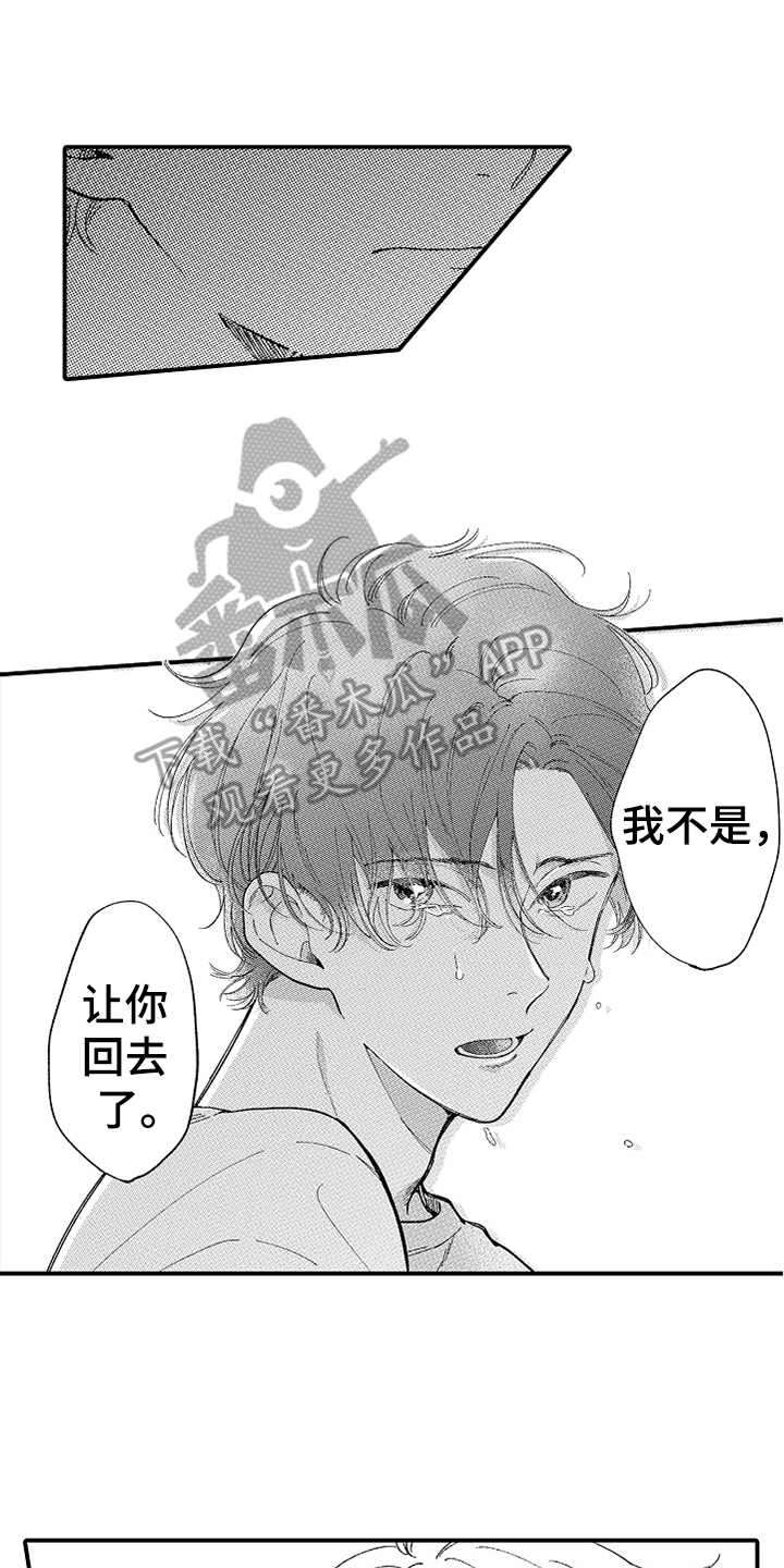 《为你疯狂》漫画最新章节第17章：眼泪免费下拉式在线观看章节第【15】张图片