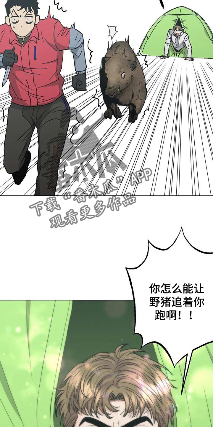 《暖心杀手》漫画最新章节第37章：又多了一只免费下拉式在线观看章节第【12】张图片