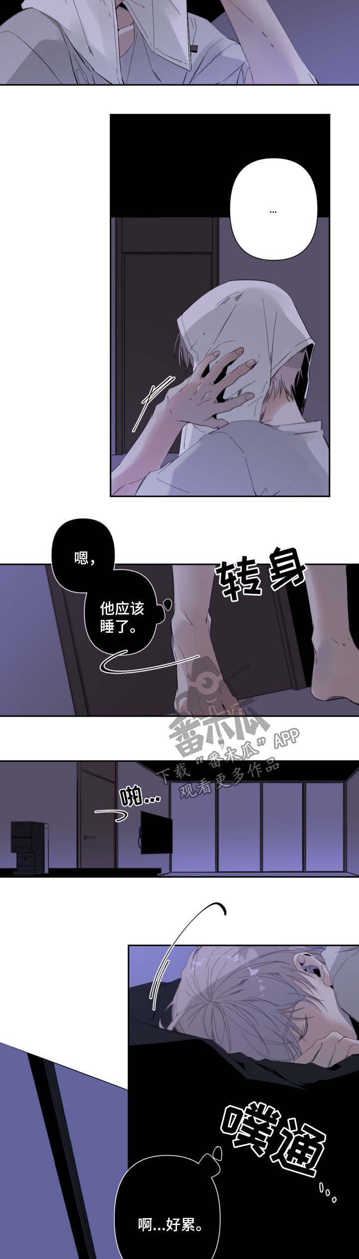 《从属》漫画最新章节第48章：自由的灵魂免费下拉式在线观看章节第【16】张图片