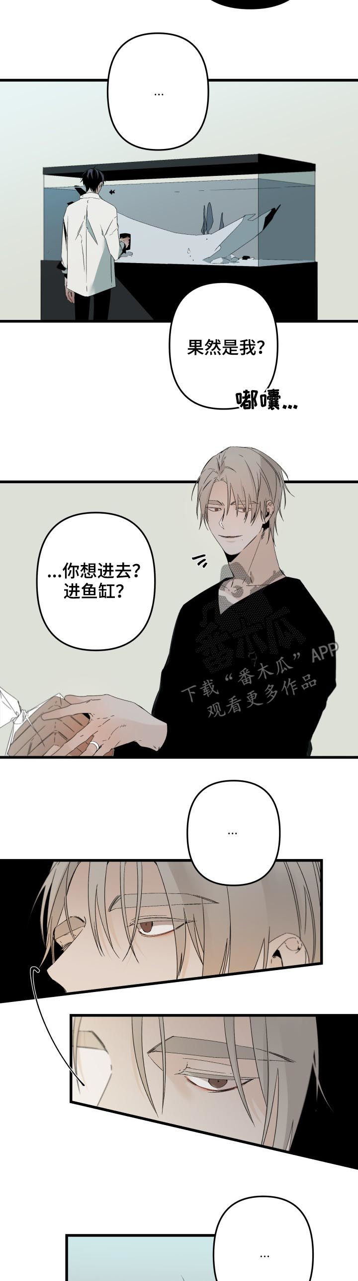 《从属》漫画最新章节第114章：番外：你误会了免费下拉式在线观看章节第【8】张图片