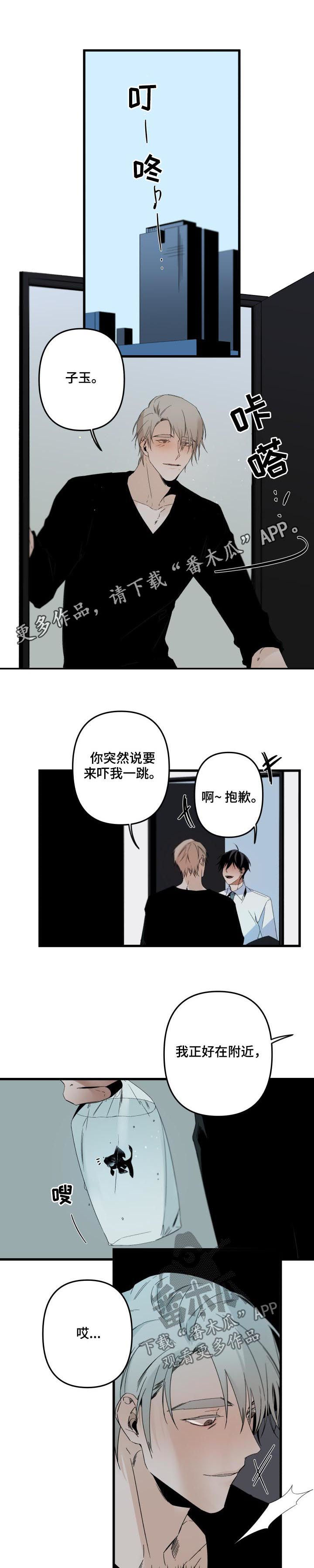 《从属》漫画最新章节第113章：养鱼（第二季完结）免费下拉式在线观看章节第【9】张图片