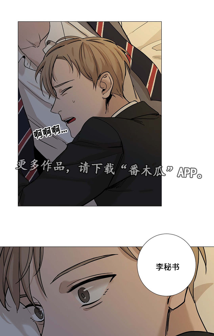 《秘官》漫画最新章节第13章：合拍免费下拉式在线观看章节第【9】张图片