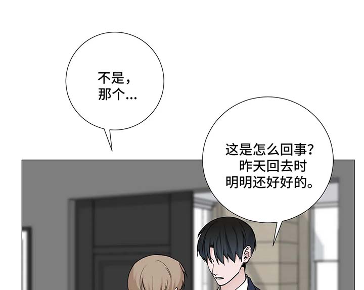 《秘官》漫画最新章节第93章：【第二季】关心免费下拉式在线观看章节第【11】张图片