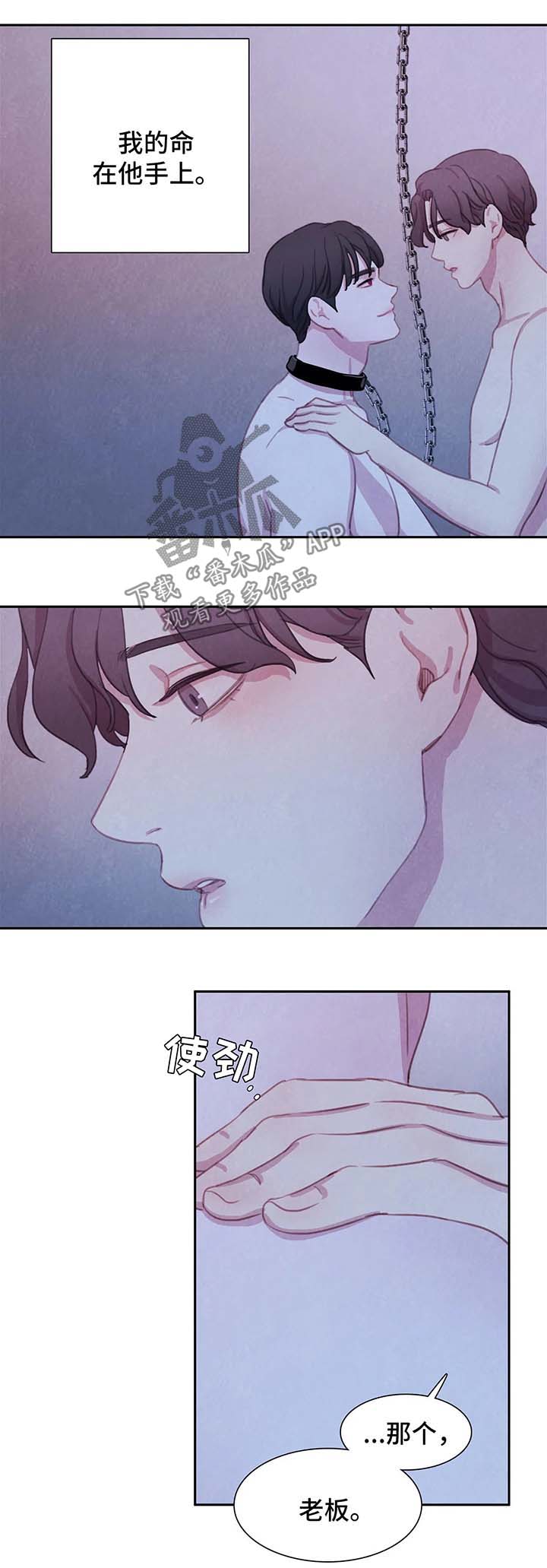 《与血族共生》漫画最新章节第35章：不再奢望免费下拉式在线观看章节第【10】张图片