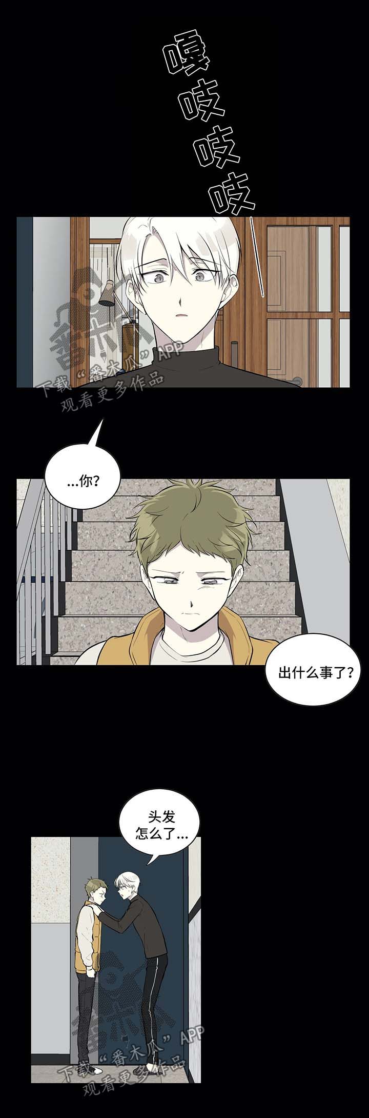 《伪装的目的》漫画最新章节第79章：报复免费下拉式在线观看章节第【12】张图片