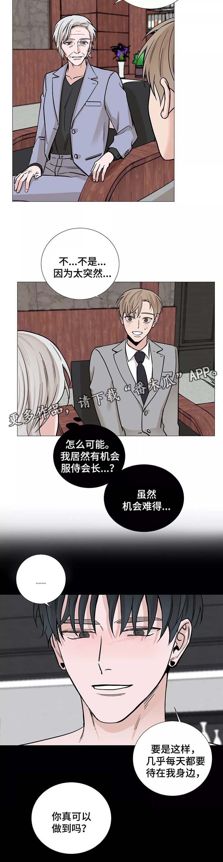 《秘官》漫画最新章节第52章：【第一季完结】辅佐的人免费下拉式在线观看章节第【11】张图片