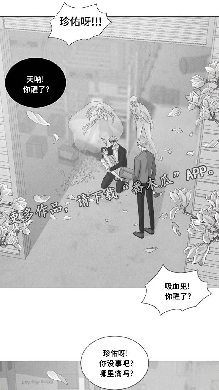 《人鬼结界》漫画最新章节第65章：幸福下去（完结）免费下拉式在线观看章节第【13】张图片